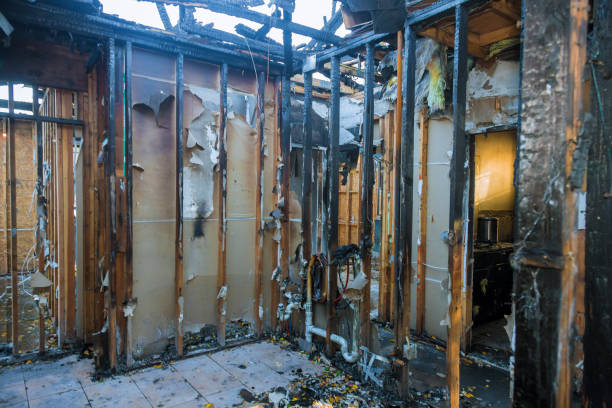 Professional Fire Damage Assessment technician working in Big Lake, AK